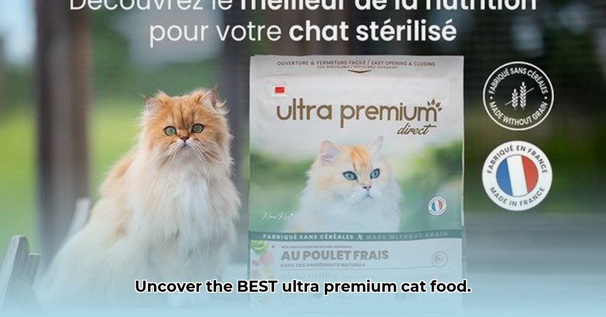ultra-premium-chat